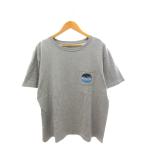  Cub -KAVU mountain Logo футболка Mountain Logo Tee 19820422 XL серый короткий рукав tops мужской 