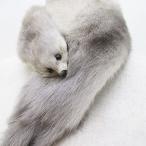 ミンク 毛皮 マフラー ティペット 襟巻き 灰系 グレー グラデーション クリップタイプ ファッション小物 レディース