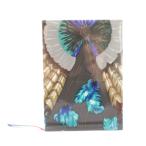 エルメス HERMES ブラジル BRAZIL シルクノートブック ノート 羽柄 箱付き 水色 ライトブルー 茶 ブラウン グレー /YT ■OH レディース