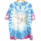 フルーツオブザルーム ヴィンテージ グレイトフルデッドバンドTシャツ バンT プリント シングルステッチ スカル タイダイ 青 XL