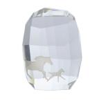  Swarovski SWAROVSKI 2014 год SCS участник ограничение шланг пресс-папье лошадь. родители . произведение искусства украшение прозрачный 5004732 /YO5 прочее 