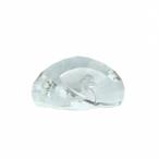  Swarovski SWAROVSKI 2015 год SCS участник ограничение украшение бумага вес pi- кок прозрачный /MI #OS прочее 