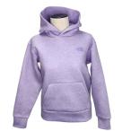  North Face лиловый этикетка длинный рукав Tec воздушный тренировочный тянуть over Parker f-ti- Logo S размер лаванда k37178 0417