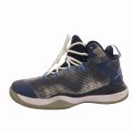  Nike NIKE JORDAN SUPER.FLY 3 BG Jordan баскетбол bashu обувь спортивные туфли 25cm синий голубой 684936-107 /FF мужской 