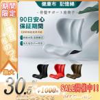 骨盤 姿勢矯正クッション 骨盤座椅子 骨盤矯正チェア 座椅子 座布団 ボディメイクシート バランスチェア 猫背 洗えるカバー ゆがみ 腰痛 デスクワーク 椅子