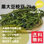 丹波黒大豆枝豆 枝付き 約2kg 黒豆 兵庫県丹波篠山産 特産品 枝豆 産地直送 送料無料