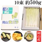  Okayama prefecture production yellow garlic chive approximately 500g ( approximately 50g×10 bundle ) unusual vegetable high class food ingredients free shipping 