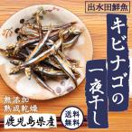 おつまみ キビナゴ きびなご 干物 鹿児島県産 キビナゴの一夜干し 80g×8パック ポイント消化 食品 お試し グルメ ご飯のお供 父の日