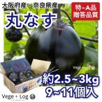 大阪府産・奈良県産 丸ナス 特〜A品 1箱 約2.5~3kg 9〜11玉前後入 野菜ギフト 贈答品質 まるなす 丸茄子 新鮮野菜 本州送料無料