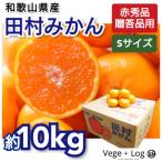 和歌山県産 「田村みかん」赤秀品 約10kg Sサイズ 有田みかんの最高峰 ブランドみかん 高糖度 ギフト用 贈答品質 お歳暮 有田みかん 本州送料無料