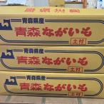  бесплатная доставка батат Hokkaido / Aomori префектура производство коробка продажа оптовый массовая закупка для бизнеса nagaimo китайский ямс 1 коробка примерно 10kg.