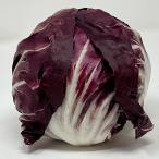 tore винт latikio салат цикорий цикорий a фиолетовый lettuce 