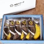 バナナ国産無農薬新潟県産越後バナー...