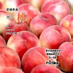  персик .. Ehime префектура производство .. примерно 1.5kg бесплатная доставка товар вид реле system .. есть белый . река средний остров белый персик размер случайный 