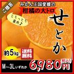 ショッピング贈答 せとか贈答 バラ詰め 贈答 愛媛県産 柑橘の大トロ 送料無料 M〜4L 5ｋｇ
