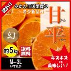 ショッピング甘平 甘平 訳あり 甘平みかん みかん 幻の柑橘 愛媛県産 不揃い 約5ｋｇ 送料無料