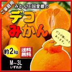 デコみかん 家庭用 不�