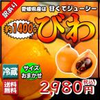 びわ ビワ セール 愛媛県産 訳あり 送料無料 1400g 約20個前後