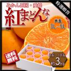 紅まどんな 大玉 特選贈答 みかん お歳暮 贈答 べにまどんな 愛媛県産 愛媛みかん 化粧箱入 3Lから5L 約3ｋｇ 送料無料