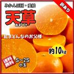 a... есть перевод коробка покупка небо ... какой родители товар вид S~2S маленький шар тщательно отобранный примерно 10kg бесплатная доставка 