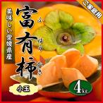  хурма ... иметь хурма ..... маленький шарик Ehime префектура производство есть перевод примерно 4kg бесплатная доставка 