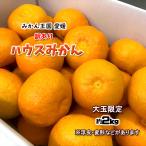 ハウスみかん ハウスミカン 温州みかん 愛媛県産 みかん 送料無料 約2kg 訳あり 大玉 2L以上