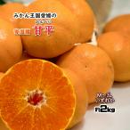ショッピング甘平 甘平 家庭用 甘平みかん みかん 幻の柑橘 愛媛県産 Ｍ〜3Ｌ 約2ｋｇ 送料無料