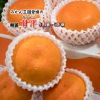 ショッピング甘平 甘平 贈答 かんぺい みかん 幻の柑橘 愛媛県産 化粧箱入り 4L 8個 5L 7個  送料無料