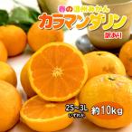 カラマンダリン 母の日 温州みかん 春みかん 愛媛県産 不揃い 混合 約 10kg 訳あり キズ多め 送料無料