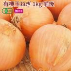  иметь машина шар лук порей 1kg передний и задний (до и после) Hokkaido производство нет пестициды культивирование доставка отдельно отметка .. еда 