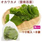 送料無料 国産 栃木産 おかわかめ オカワカメ 雲南百薬 無農薬 10枚 5袋