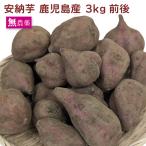  дешево . клубень 3kg передний и задний (до и после) Кагосима производство батат включая доставку 