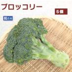  брокколи низкий пестициды культивирование 5 шт включая доставку 