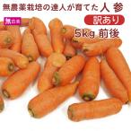  время ограничено есть перевод специальная цена выгодная покупка нет пестициды морковь 5kg передний и задний (до и после) B товар не комплект трещина дом для 5kg передний и задний (до и после) включая доставку 