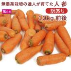  время ограничено есть перевод специальная цена выгодная покупка нет пестициды морковь 10kg передний и задний (до и после) B товар не комплект трещина дом для 10kg передний и задний (до и после) включая доставку 