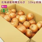  иметь машина шар лук порей 10kg передний и задний (до и после) Hokkaido производство иметь машина культивирование включая доставку 