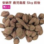  дешево . клубень 5kg передний и задний (до и после) Кагосима производство нет пестициды культивирование батат включая доставку 