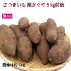  батат каштан ...5kg передний и задний (до и после) нет пестициды культивирование Кагосима производство включая доставку каштан. подобный ho k ho k еда чувство 