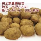 [20% скидка ] новый картофель 10kg передний и задний (до и после) нет пестициды культивирование Saitama производство включая доставку 