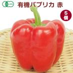有機パプリカ 赤 5個 無農薬栽培 佐賀産 送料込 食卓に華やかな彩を添える食材