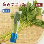  нить ...50g×6 пакет низкий пестициды культивирование включая доставку 