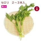  местного производства сельдерей 5 пакет нет пестициды культивирование включая доставку 