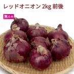  красный oni on нет пестициды культивирование 2kg передний и задний (до и после) включая доставку 