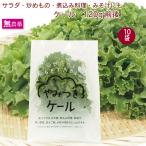  кудрявая капуста 10 пакет нет пестициды культивирование Nagano производство включая доставку 