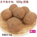  картофель .....500g Hokkaido производство нет пестициды культивирование доставка отдельно отметка .. еда 