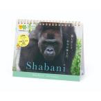 卓上 カレンダー 2021 シャバーニ 格言 スケジュール ゴリラ APJ 動物写真 書き込み インテリア