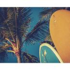 Yahoo! Yahoo!ショッピング(ヤフー ショッピング)写真 アート Petit Canvas Art サーフボード プチ キャンバスアート 美工社 50×40×2.5cm フレームレス