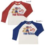  детская одежда мужчина . небо . транскрипция принт la gran рукав футболка с длинным рукавом pau Patrol cut and sewn kai tuck Family 