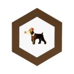  поздравительная открытка сообщение карта DOG'S Party!shunau The -ROKKAKU CARD.. Futaba 