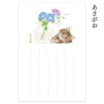 POSTCARD жара средний открытка кошка. .. пейзаж 2 листов ввод ....ROKKAKU.. Futaba открытка . вдавлено .